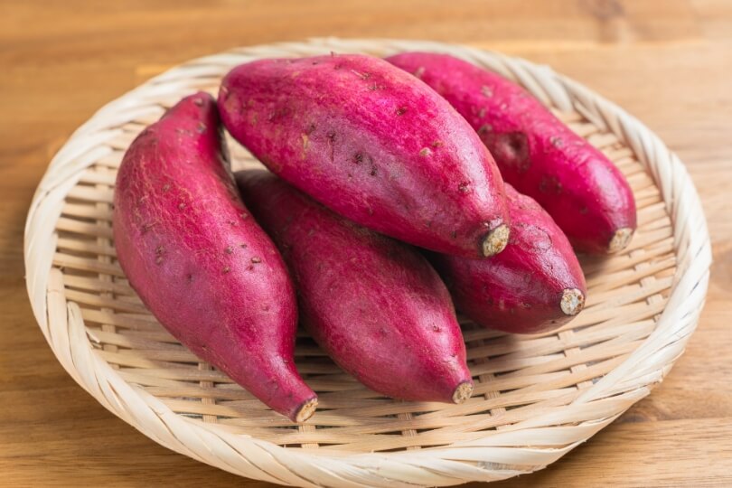 畑でさつまいもの苗を植え付ける様子